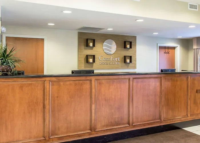 Comfort Inn & Suites Orangeburg
